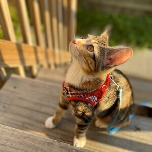 Meet your Posher, Wendy